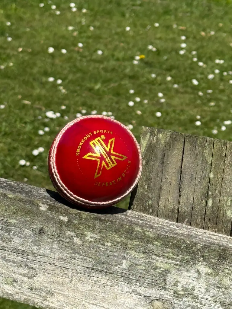 Premium Red Leather Cricket Ball