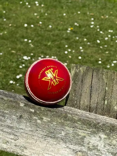 Premium Red Leather Cricket Ball