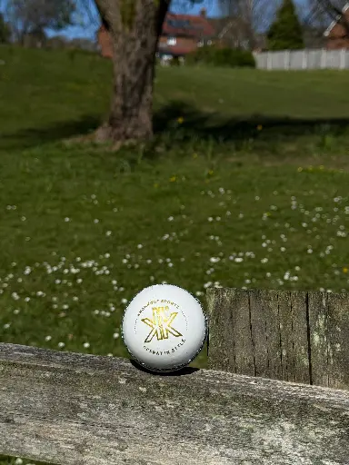 Premium White Leather Cricket Ball 
